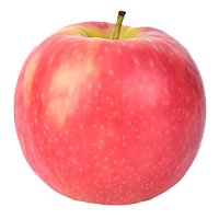 Pink Lady Apple