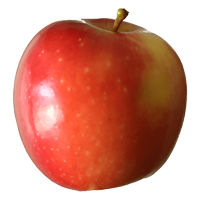 Rockit Apple